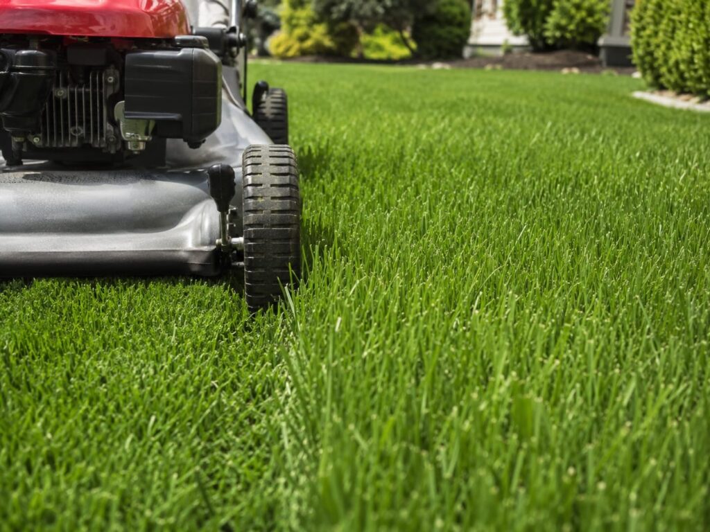 Lawn mower cutting grass at the proper mowing height